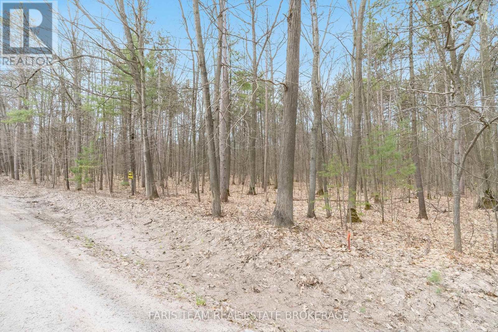 Lot 2 Plan 51m1249 Township Of Tiny, Tiny, Ontario  L0L 0L0 - Photo 4 - S12630006