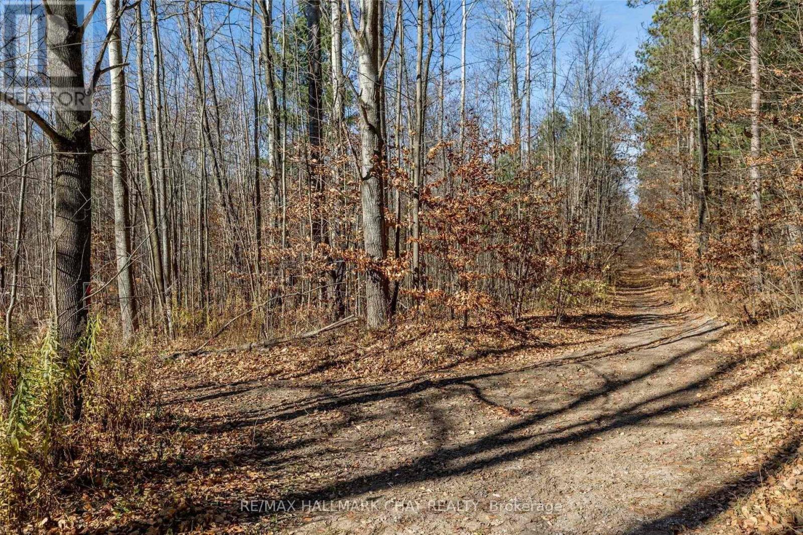 Upper - 3742 Horseshoe Valley Road W, Springwater, Ontario  L0L 1Y0 - Photo 19 - S13080412