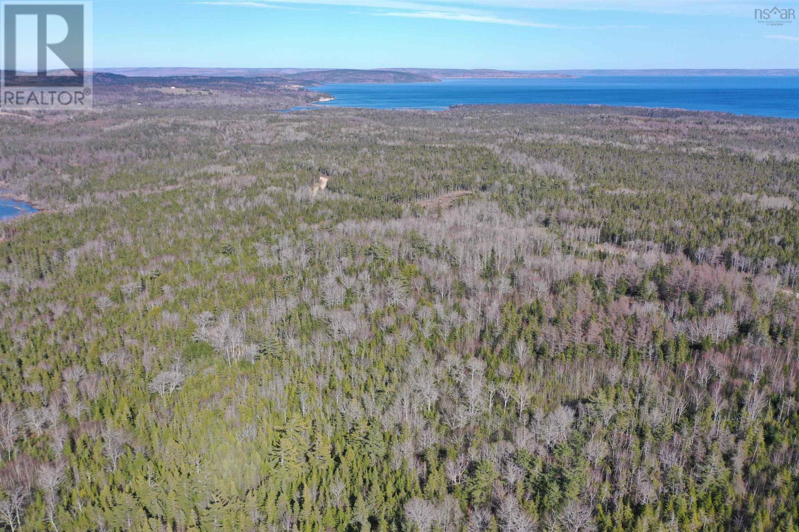 Red Point Road, Red Point, Nova Scotia  B2C 1G4 - Photo 10 - 202609615