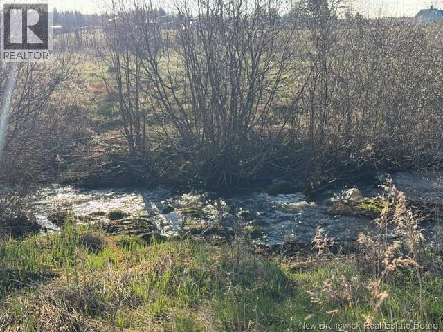 370 Cherryvale Road, Canaan Forks, New Brunswick  E4Z 5X3 - Photo 7 - NB135026