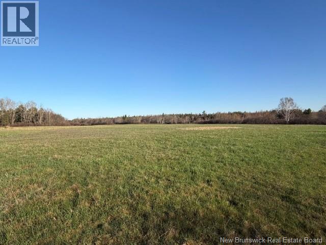370 Cherryvale Road, Canaan Forks, New Brunswick  E4Z 5X3 - Photo 6 - NB135026