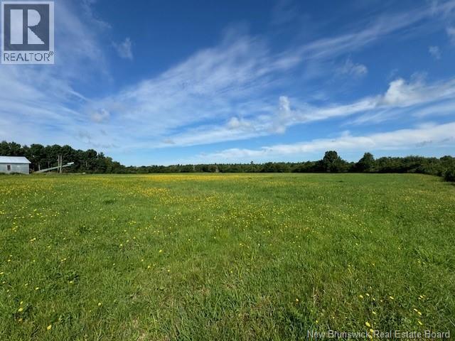 370 Cherryvale Road, Canaan Forks, New Brunswick  E4Z 5X3 - Photo 24 - NB135026
