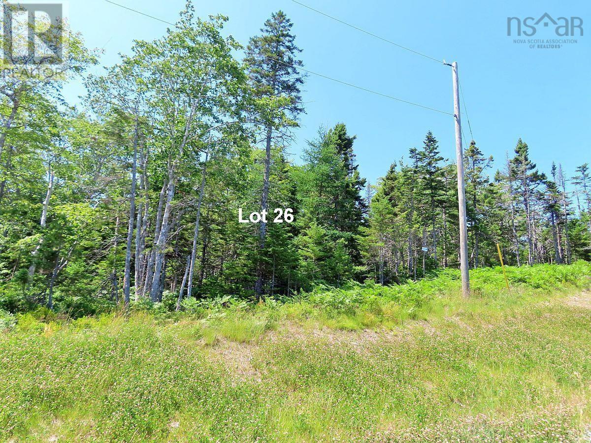 76 Acres Perry Lane, Lennox Passage, Nova Scotia  B0E 1K0 - Photo 42 - 202609626