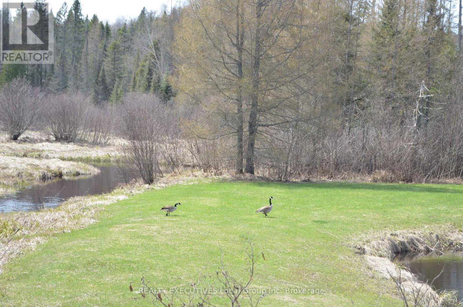 71 Black Creek Road N, Nipissing, Ontario  P0H 1W0 - Photo 41 - X12939798