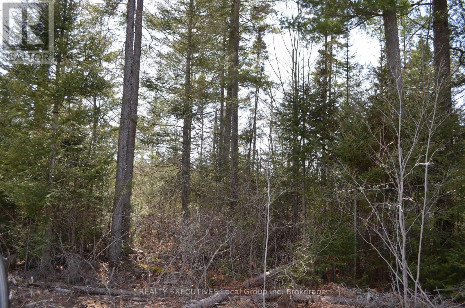 71 Black Creek Road N, Nipissing, Ontario  P0H 1W0 - Photo 43 - X12939798