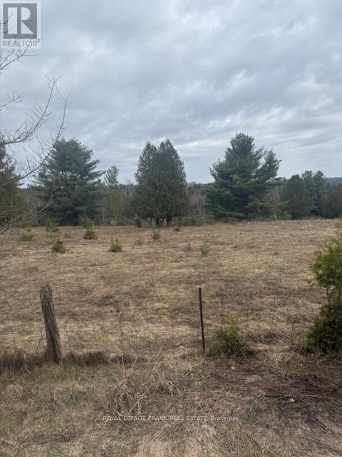 Lot 1 Detlor Road, Bancroft, Ontario  K0L 1C0 - Photo 4 - X13080632