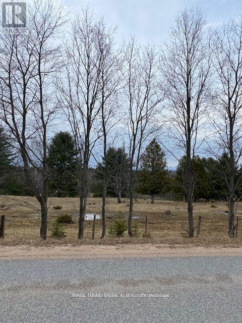 Lot 1 Detlor Road, Bancroft, Ontario  K0L 1C0 - Photo 7 - X13080632