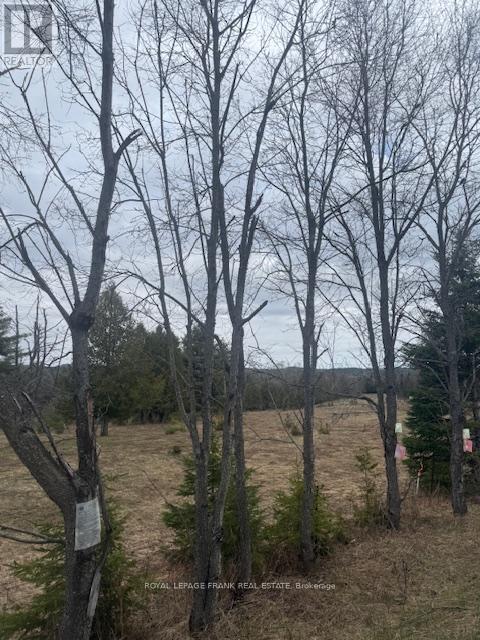 Lot 2 Detlor Road, Bancroft, Ontario  K0L 1C0 - Photo 2 - X13080644