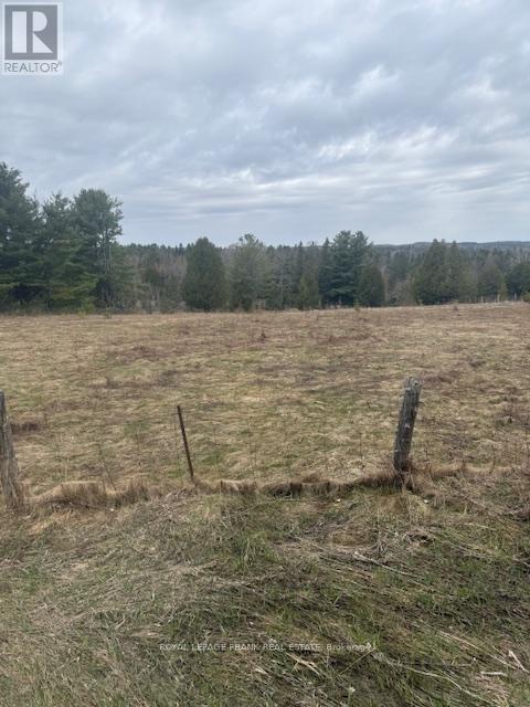 Lot 2 Detlor Road, Bancroft, Ontario  K0L 1C0 - Photo 5 - X13080644