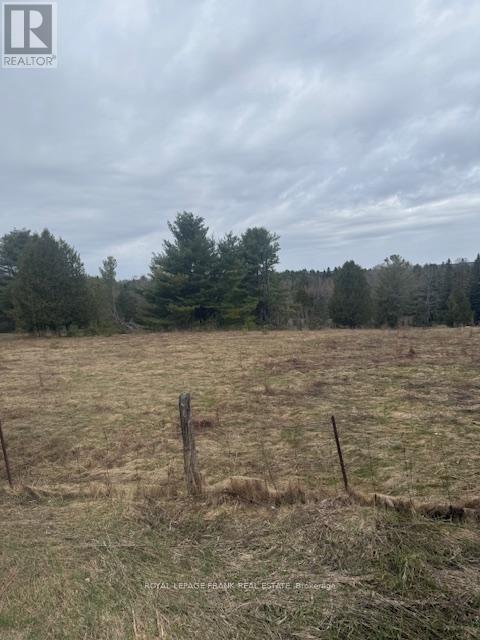 Lot 2 Detlor Road, Bancroft, Ontario  K0L 1C0 - Photo 6 - X13080644