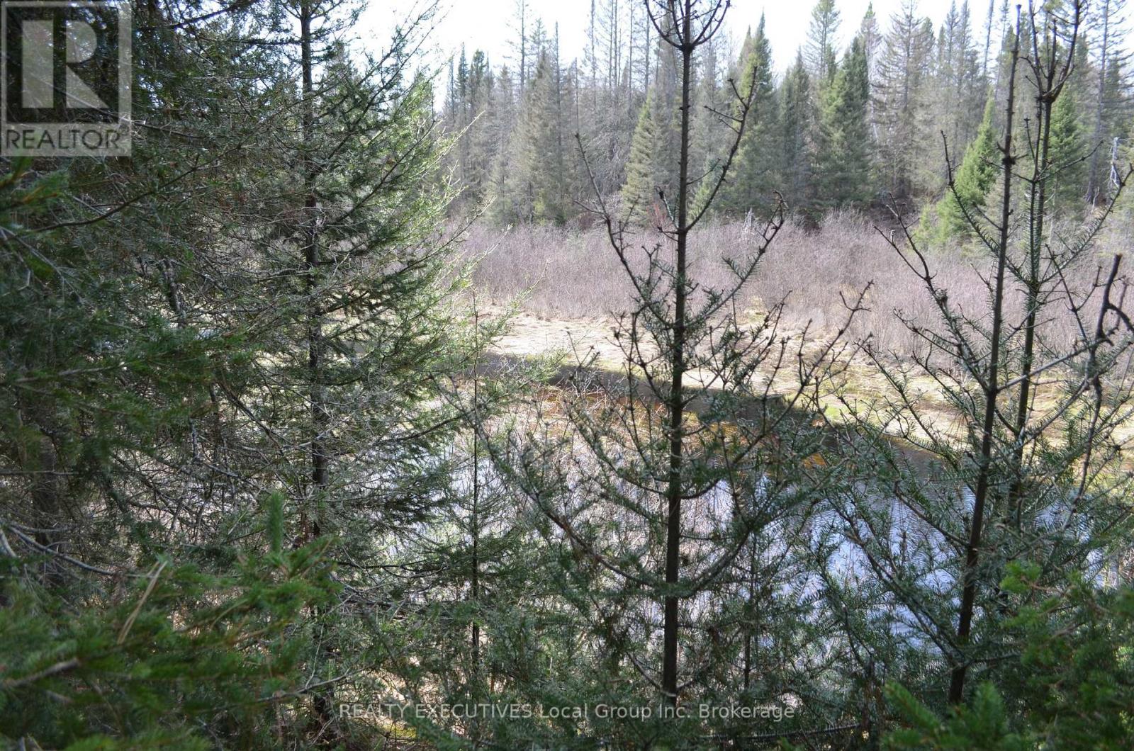 71 Black Creek Road N, Nipissing, Ontario  P0H 1W0 - Photo 24 - X12939798