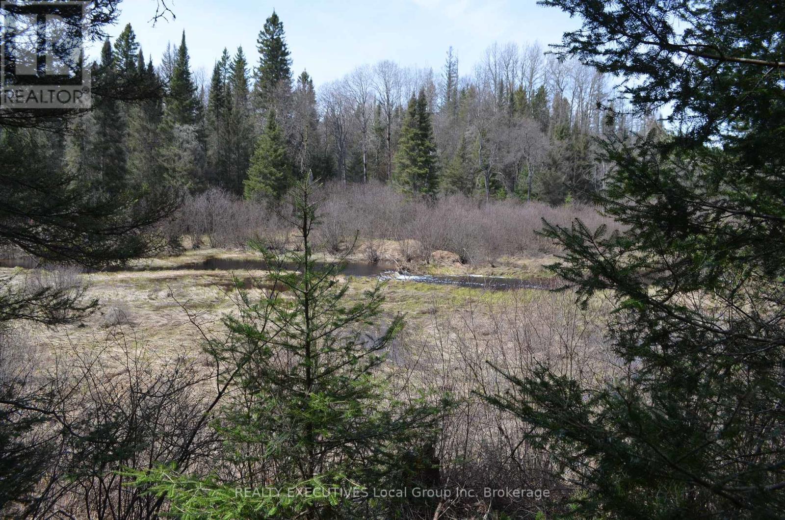 71 Black Creek Road N, Nipissing, Ontario  P0H 1W0 - Photo 19 - X12939798