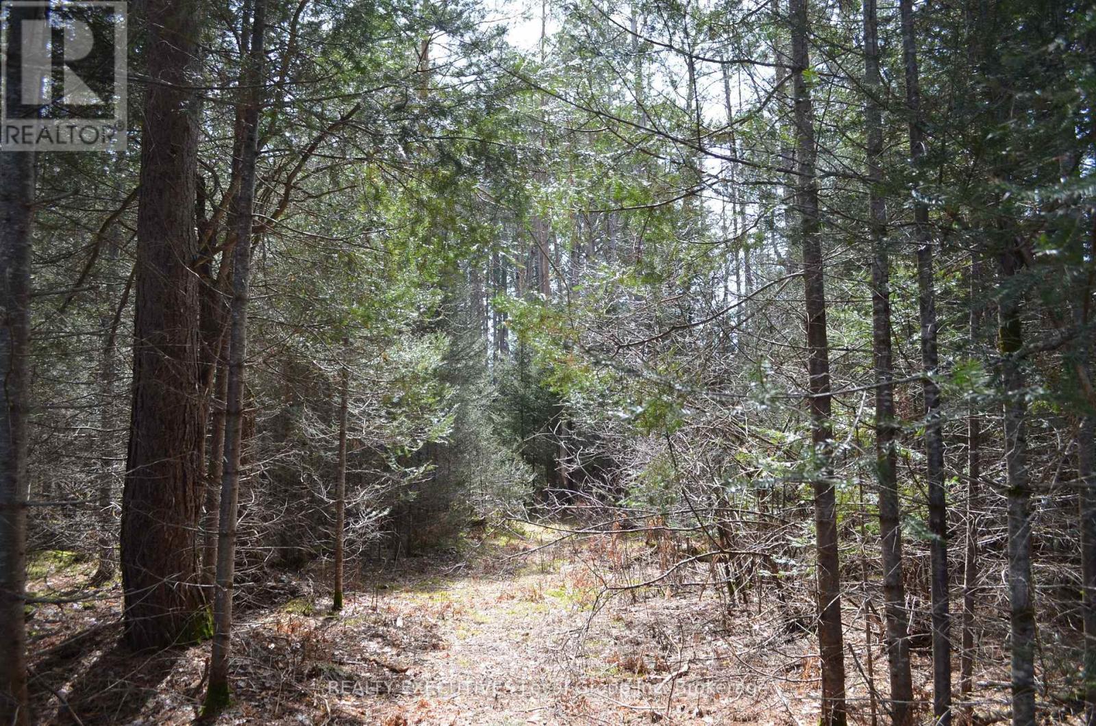 71 Black Creek Road N, Nipissing, Ontario  P0H 1W0 - Photo 25 - X12939798
