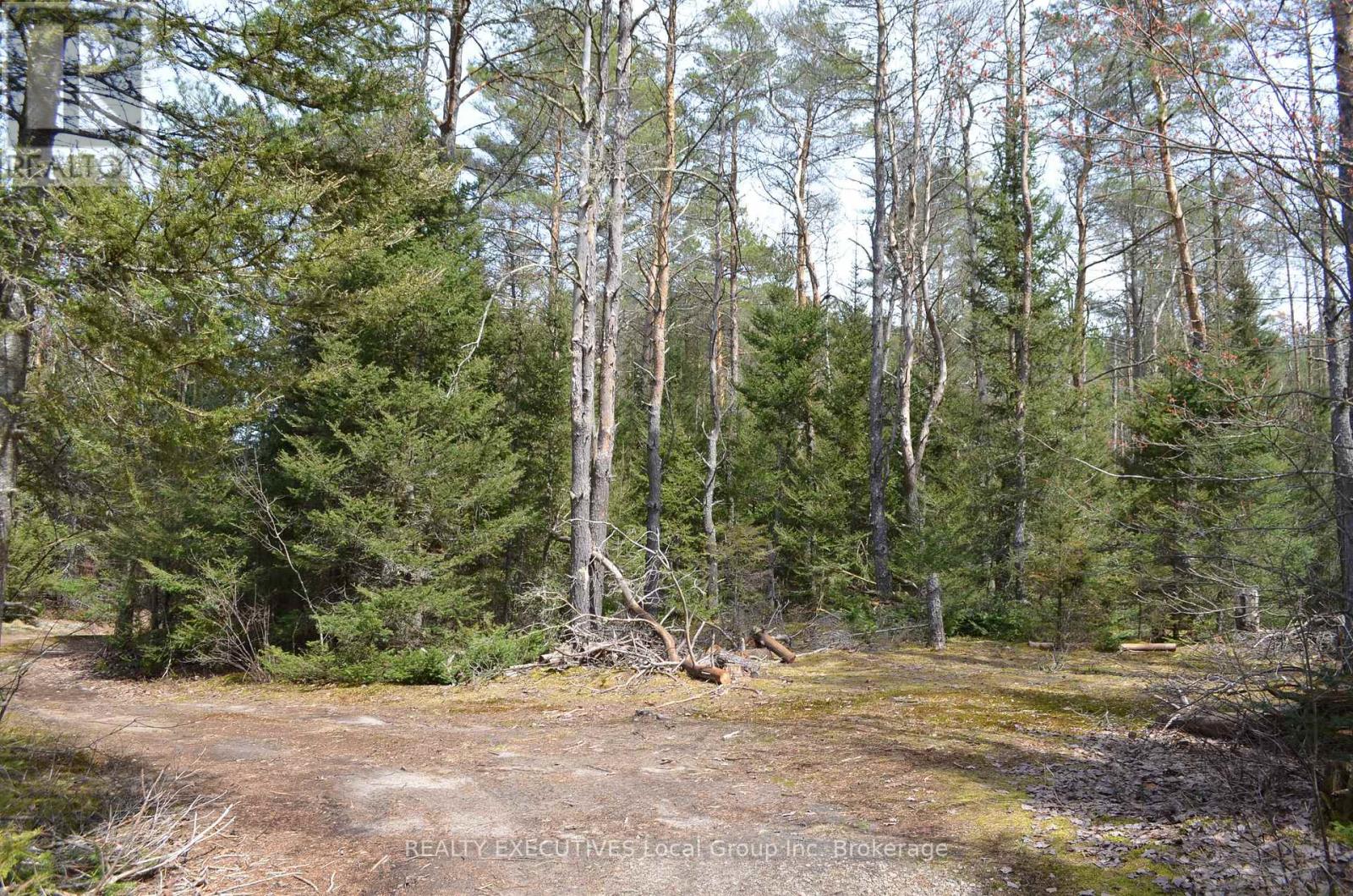 71 Black Creek Road N, Nipissing, Ontario  P0H 1W0 - Photo 30 - X12939798