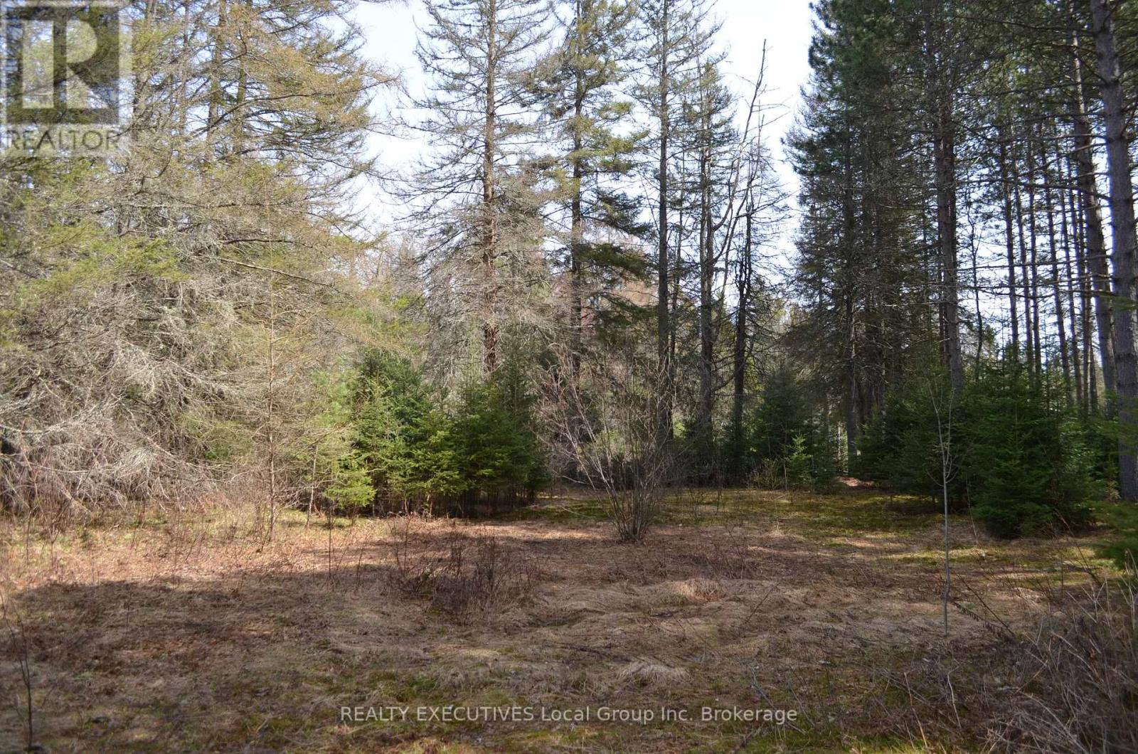 71 Black Creek Road N, Nipissing, Ontario  P0H 1W0 - Photo 35 - X12939798