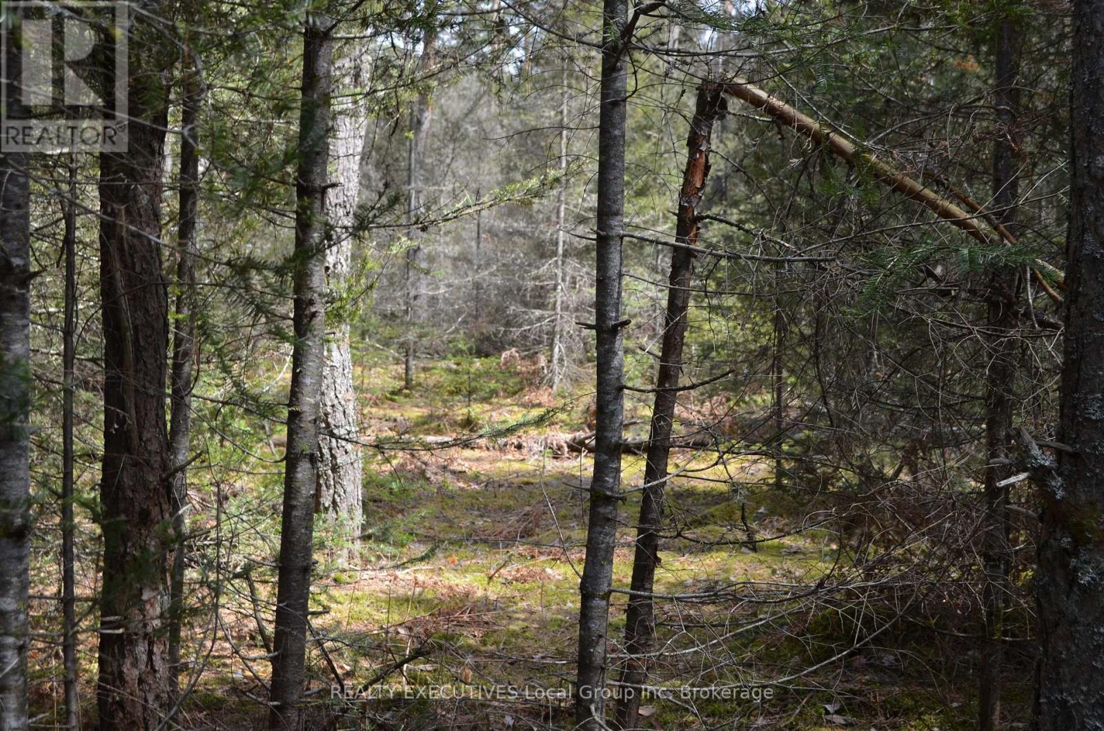 71 Black Creek Road N, Nipissing, Ontario  P0H 1W0 - Photo 33 - X12939798