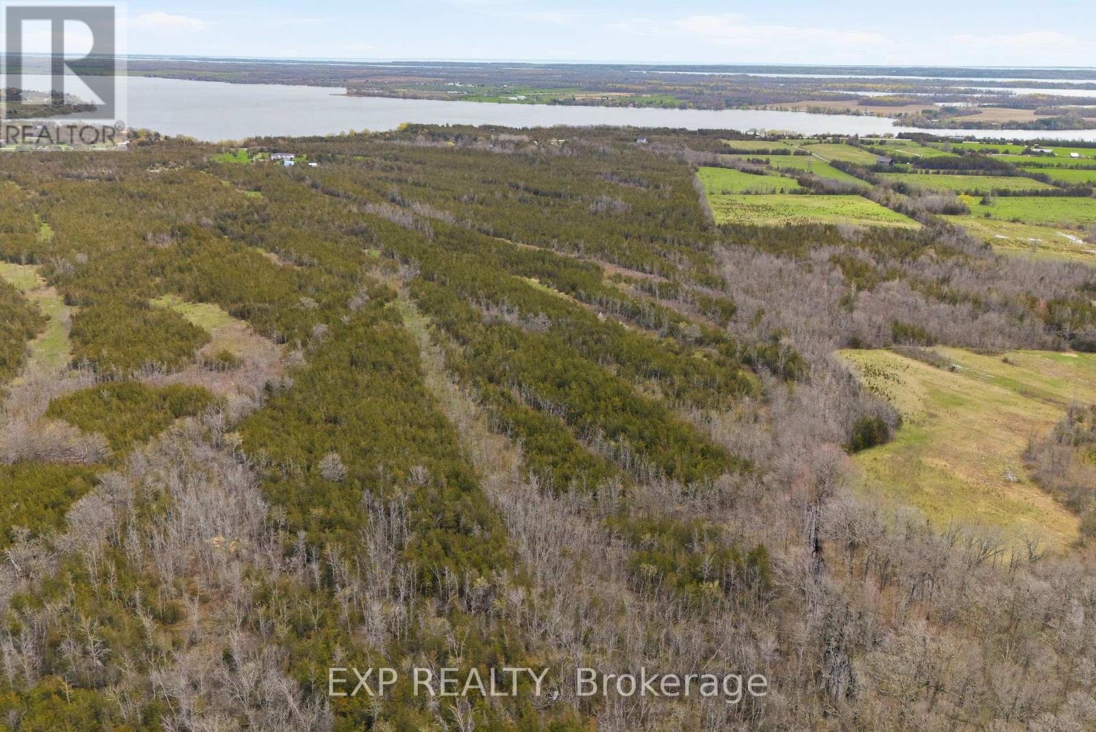 2543 Highway 49 Highway W, Prince Edward County, Ontario  K0K 2T0 - Photo 6 - X13080878