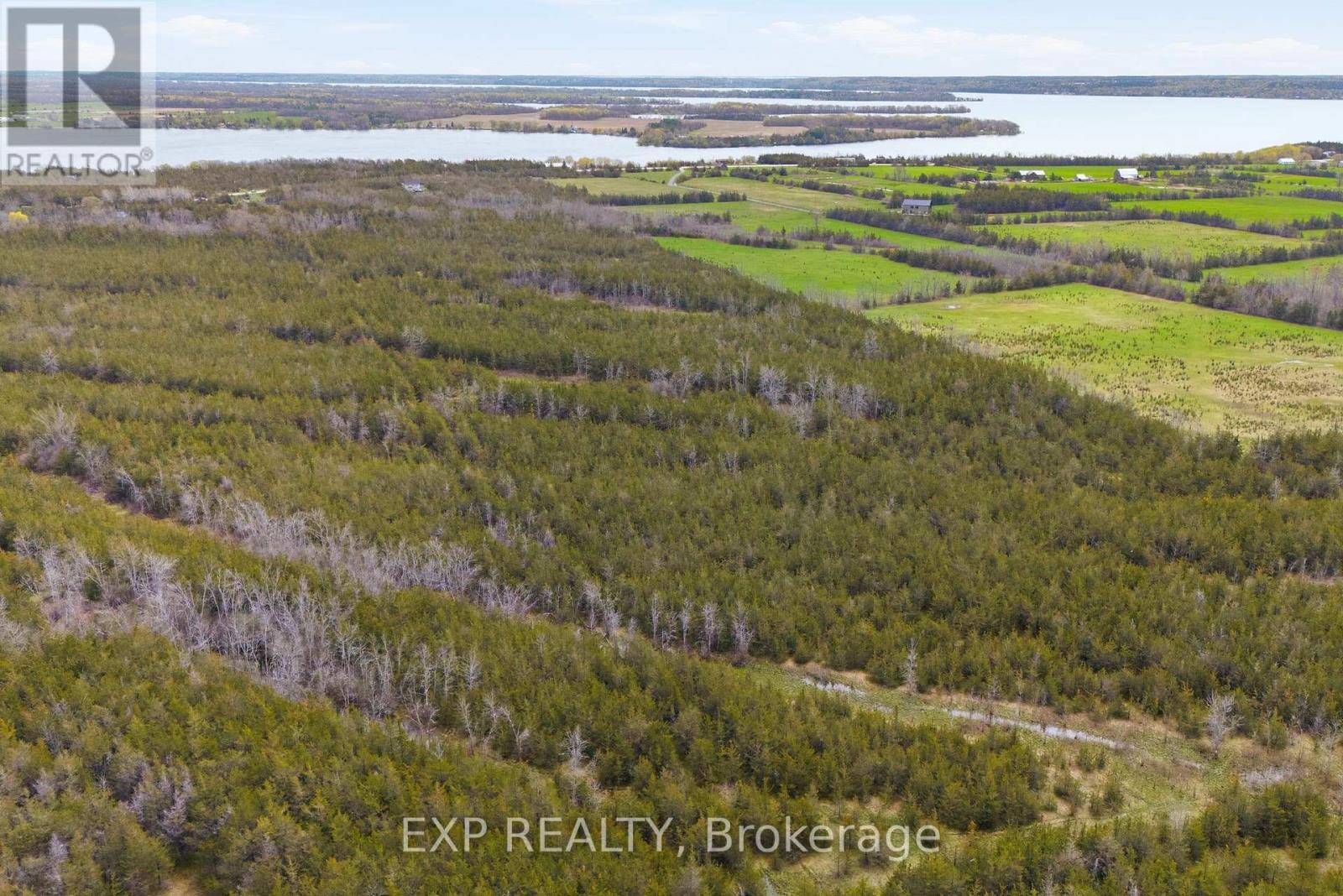 2543 Highway 49 Highway W, Prince Edward County, Ontario  K0K 2T0 - Photo 9 - X13080878