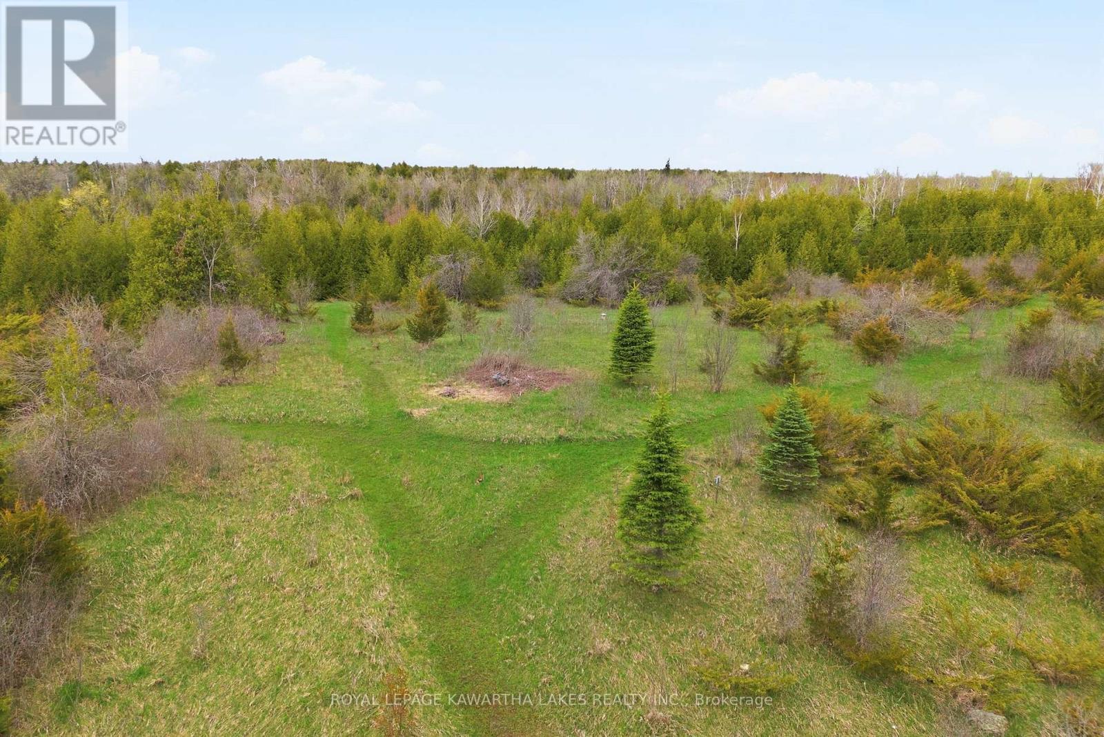 Pt Lt 17 Southside Road, Kawartha Lakes, Ontario  K9V 4R5 - Photo 17 - X13080968