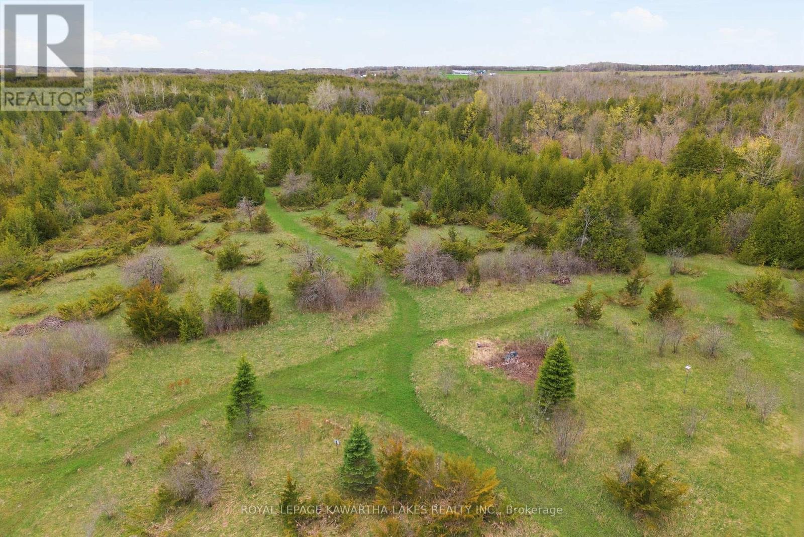Pt Lt 17 Southside Road, Kawartha Lakes, Ontario  K9V 4R5 - Photo 18 - X13080968