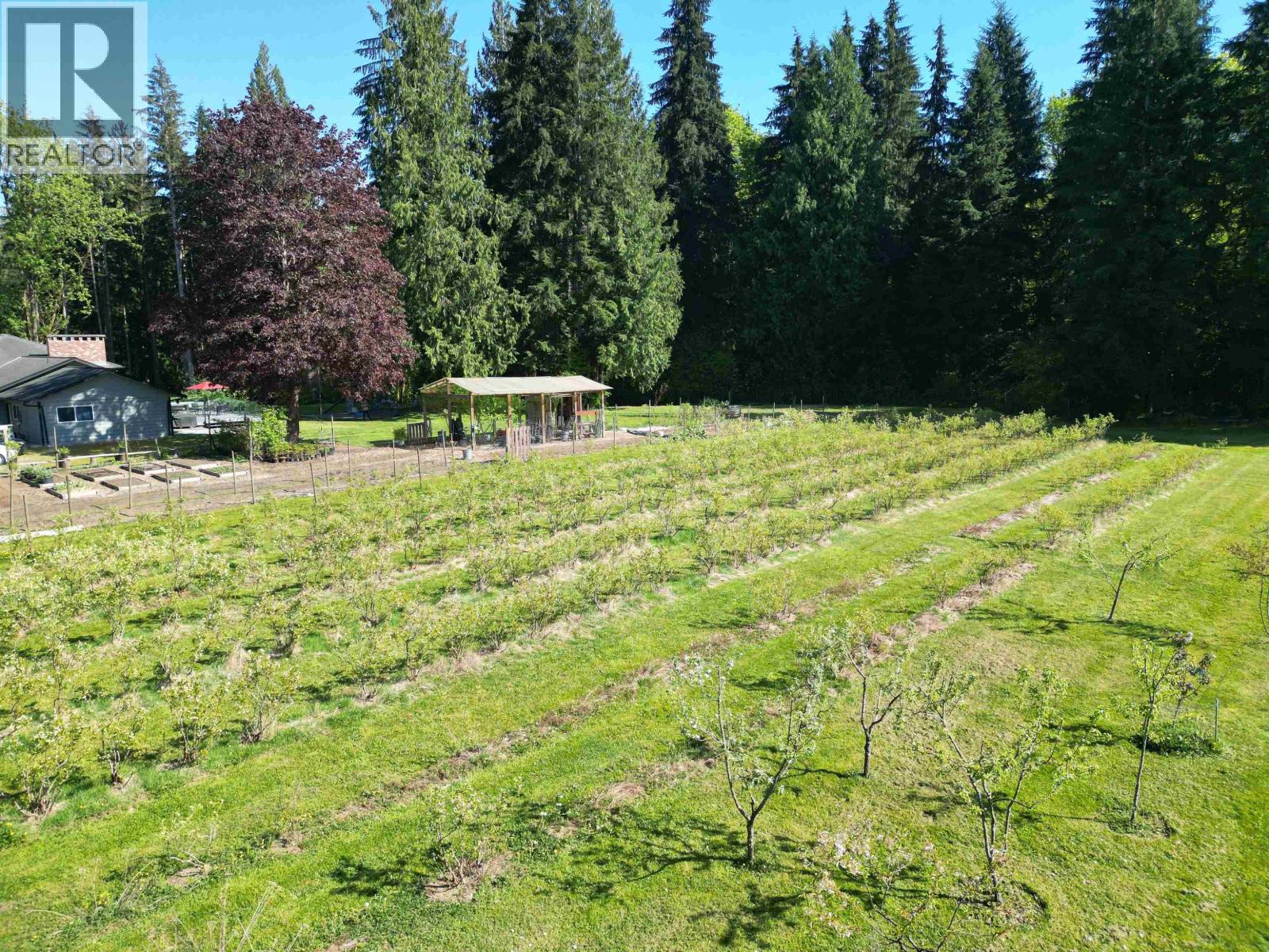 25908 124 Avenue, Maple Ridge, British Columbia  V4R 1B8 - Photo 5 - R3103325