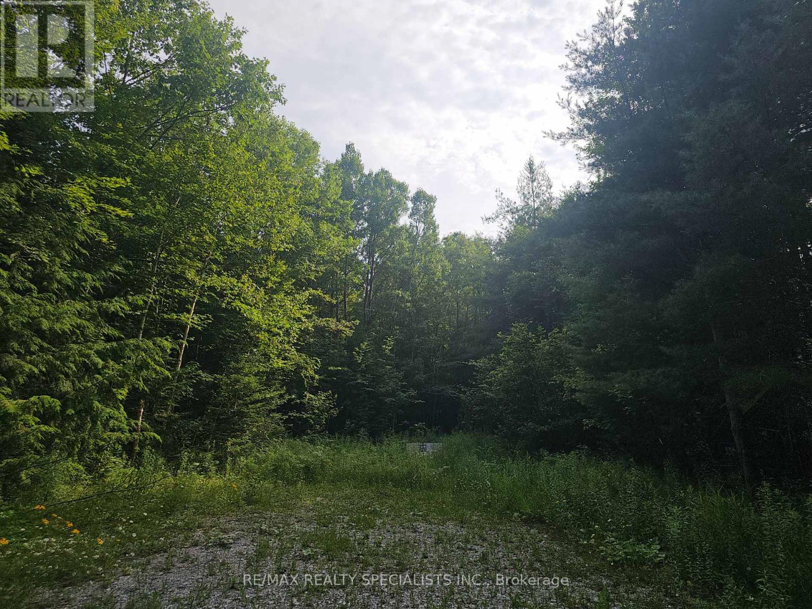 3878 Cambrian Road, Severn, Ontario  L0K 2B0 - Photo 22 - S13080868