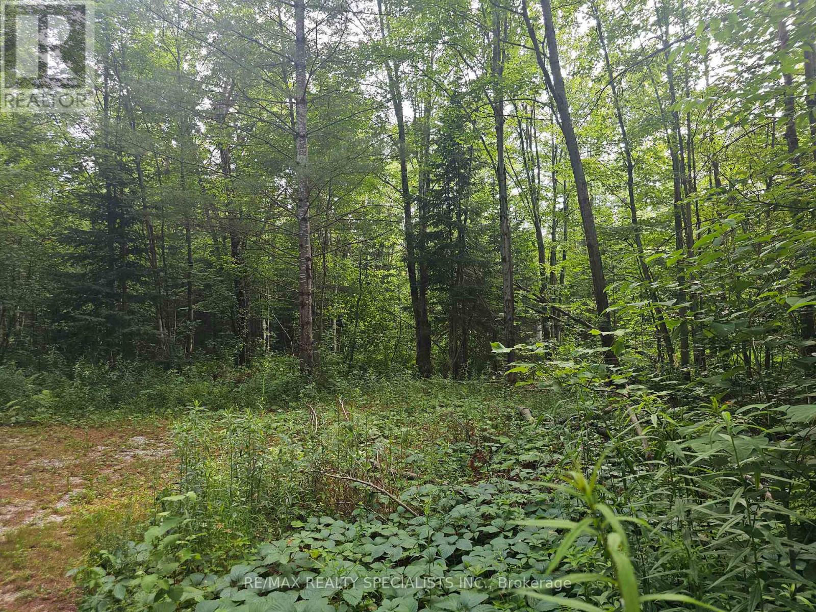 3878 Cambrian Road, Severn, Ontario  L0K 2B0 - Photo 25 - S13080868