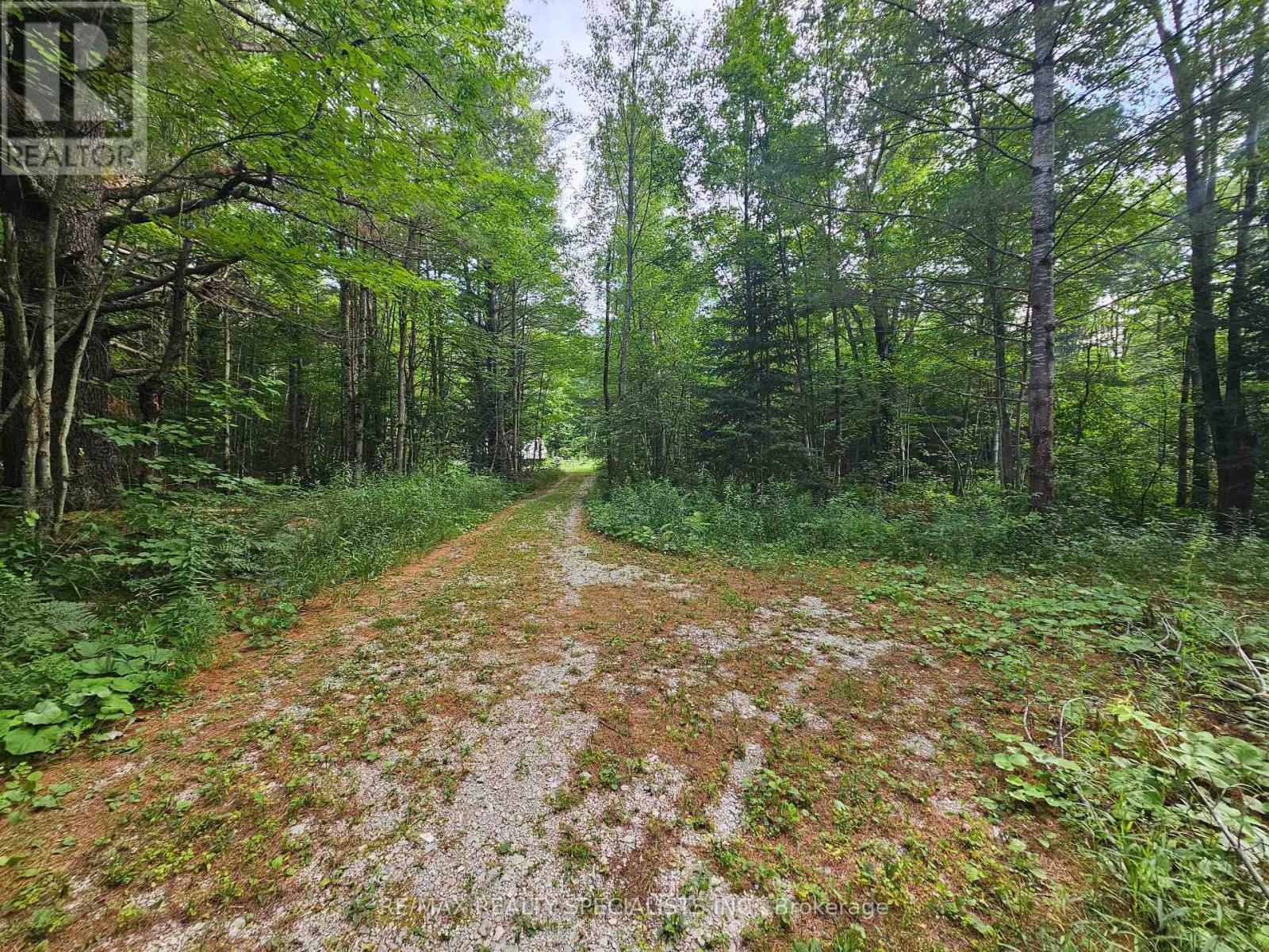 3878 Cambrian Road, Severn, Ontario  L0K 2B0 - Photo 26 - S13080868