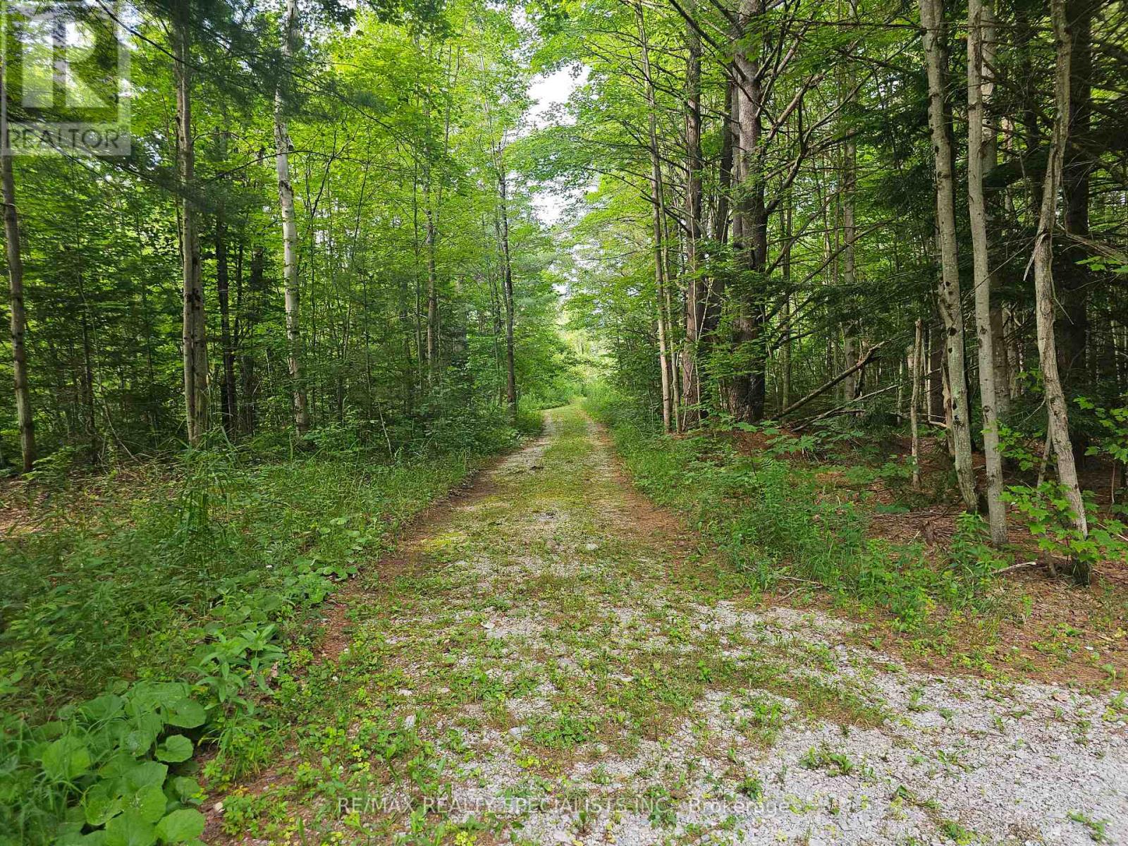 3878 Cambrian Road, Severn, Ontario  L0K 2B0 - Photo 9 - S13080868