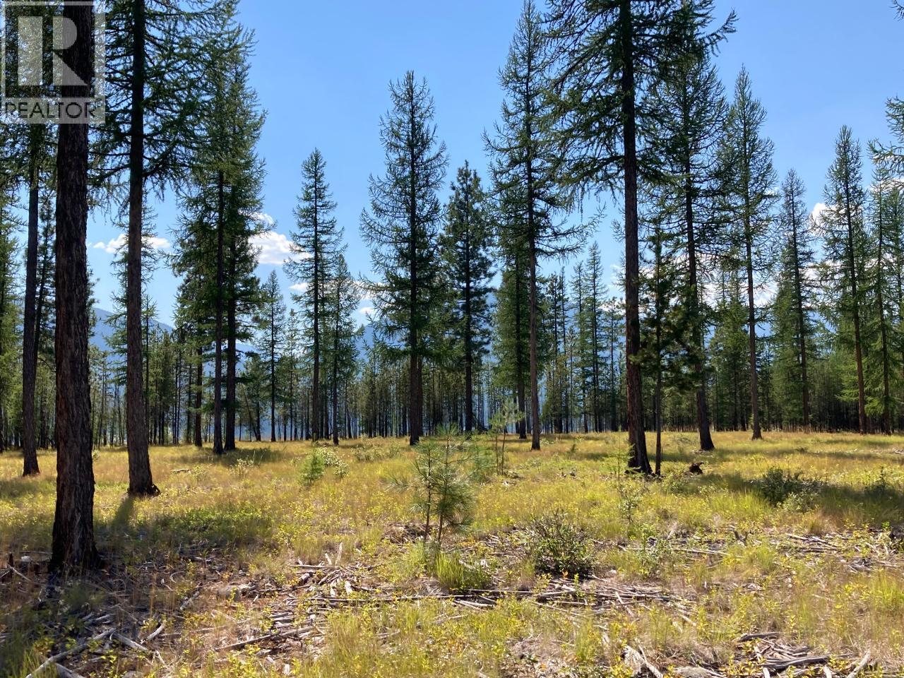 115 Ponderosa Point, Kimberley, British Columbia  V1A 0A5 - Photo 7 - 10339656