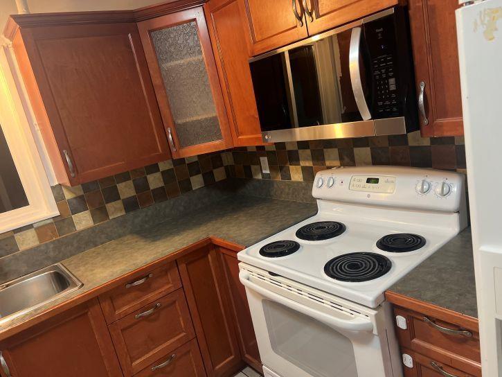 4815 201 Street, Langley, British Columbia  V3A 5V6 - Photo 26 - R3117381