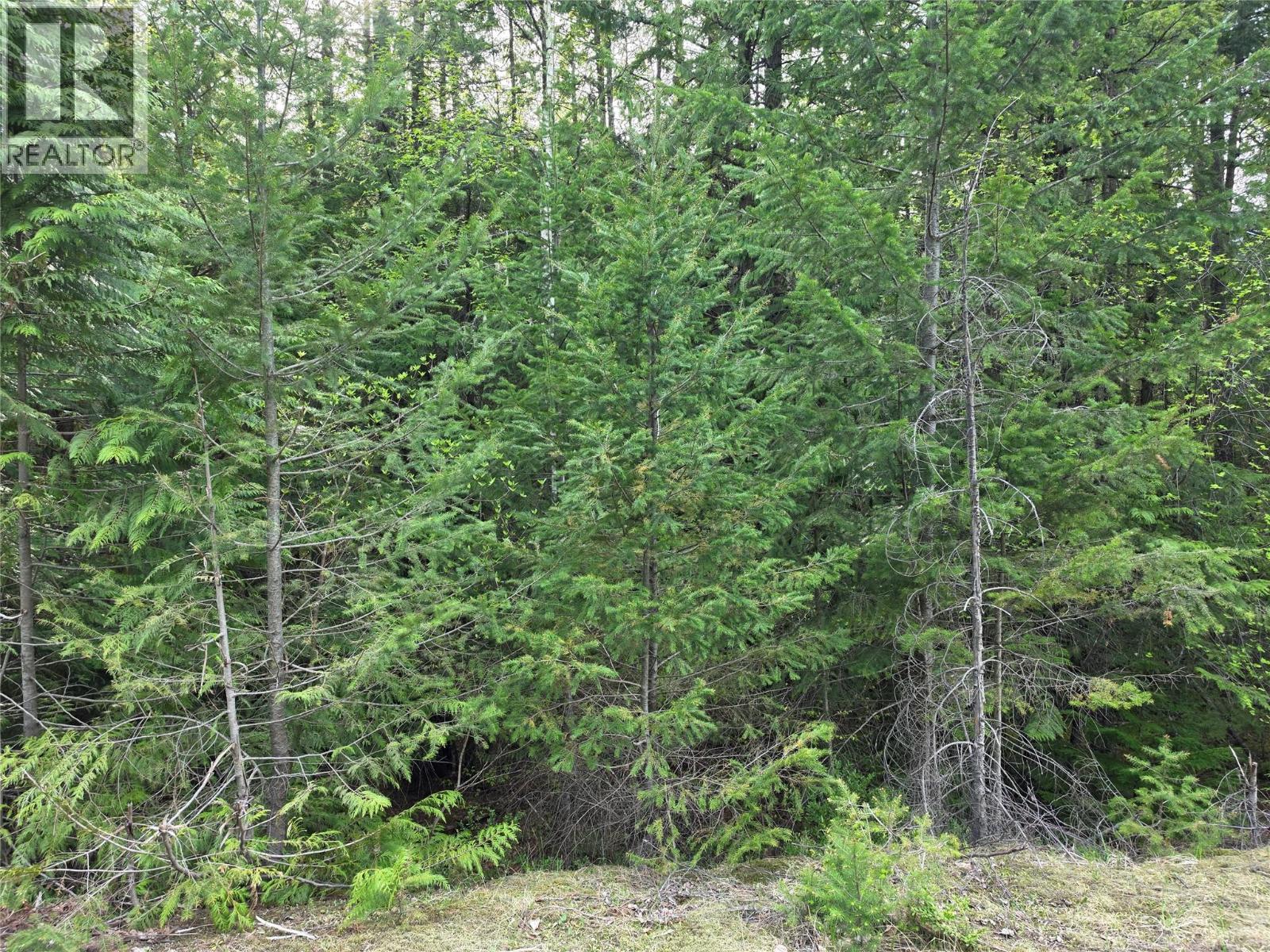 6 Highway, Slocan, British Columbia