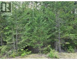 6 Highway, Slocan, British Columbia