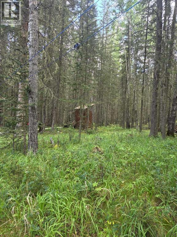 403, 29542 Range Rd 52, Rural Mountain View County, Alberta  T0M 2E0 - Photo 29 - A2307701