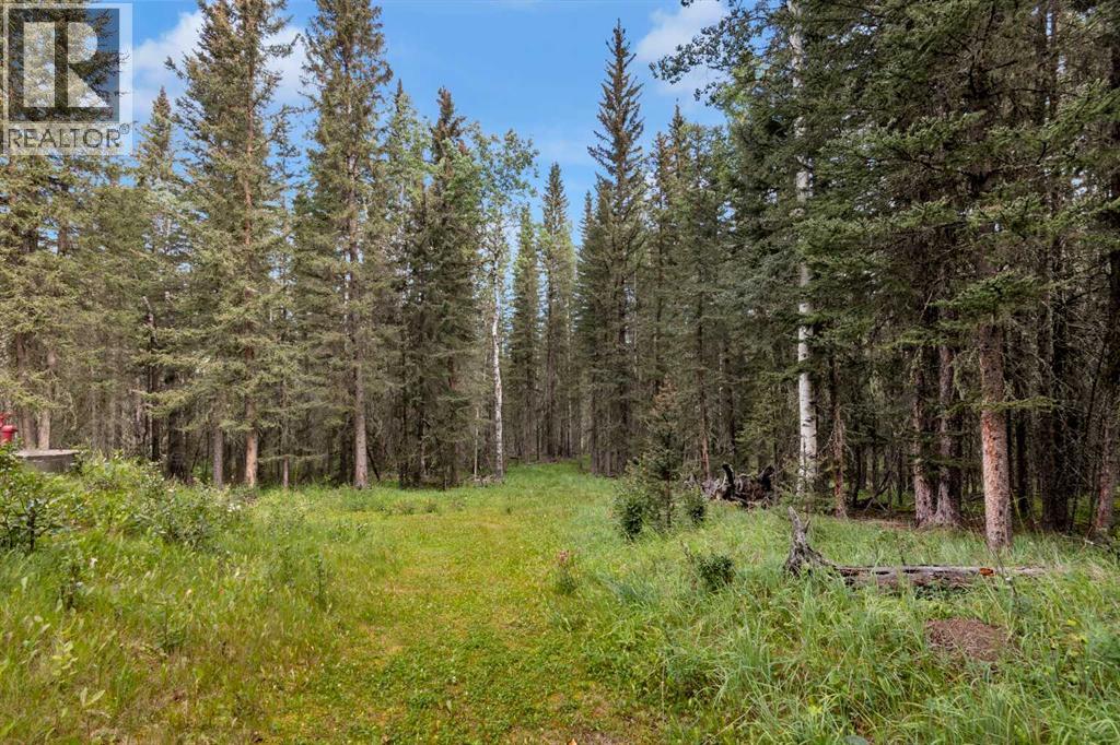 403, 29542 Range Rd 52, Rural Mountain View County, Alberta  T0M 2E0 - Photo 40 - A2307701