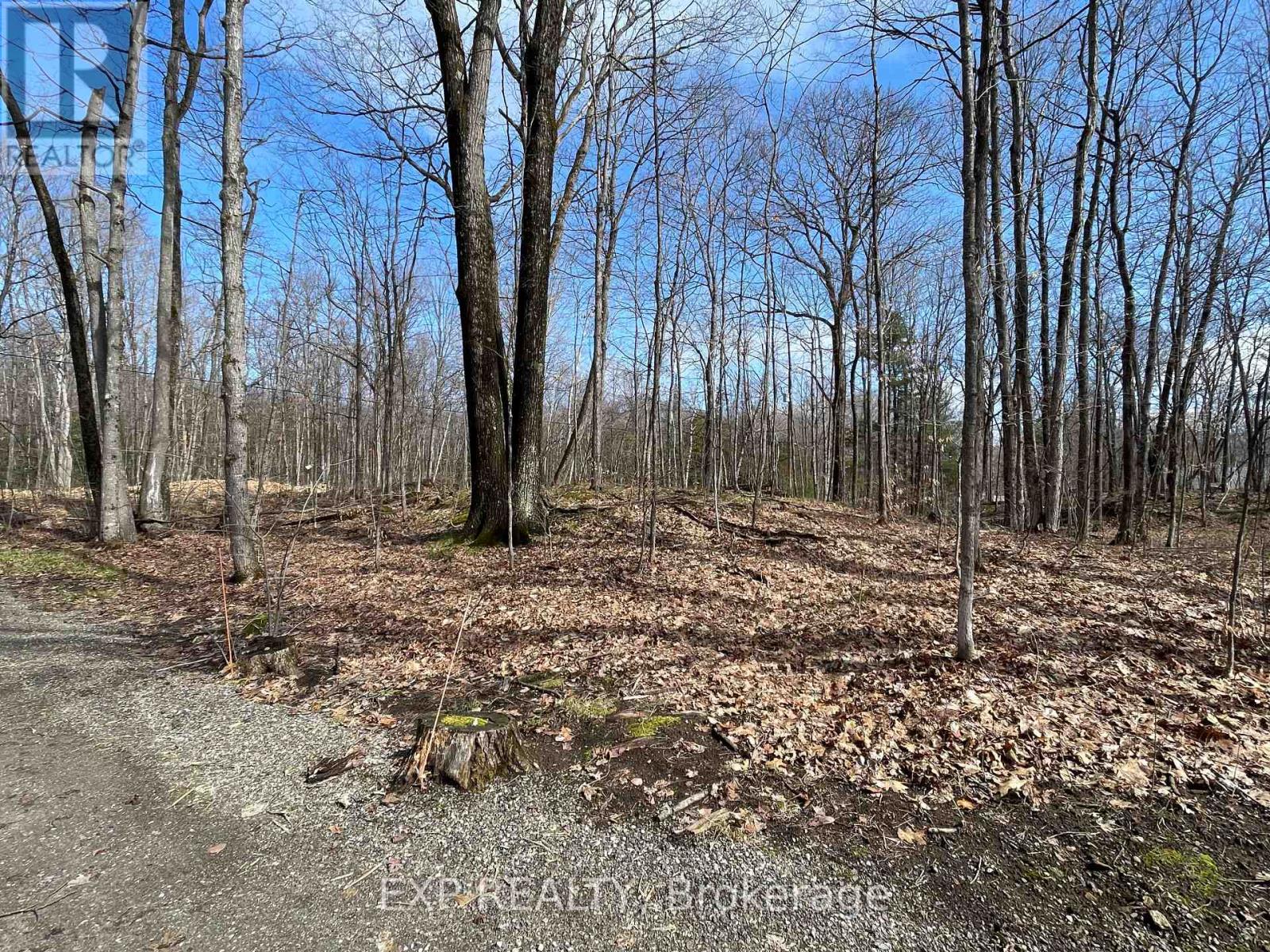 20 Crestview Drive, Greater Madawaska, Ontario  K0J 1H0 - Photo 43 - X12857374