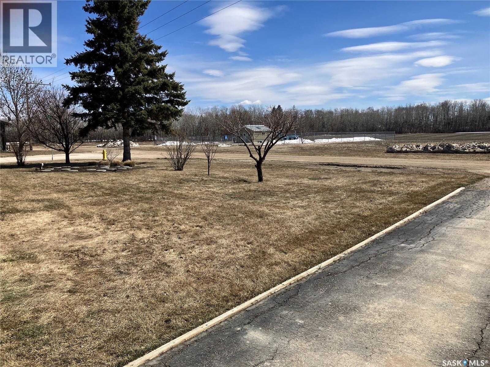 1216 2a Street W, Nipawin, Saskatchewan  S0E 1E0 - Photo 38 - SK032207