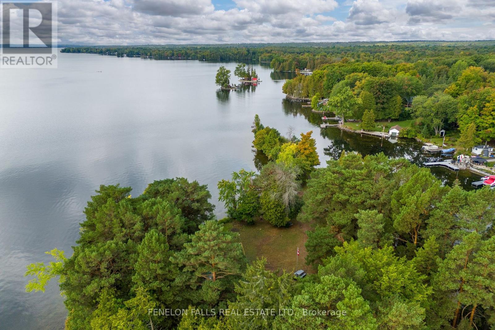 138 Alpine Lake Road, Trent Lakes, Ontario  K0M 1A0 - Photo 38 - X13059976