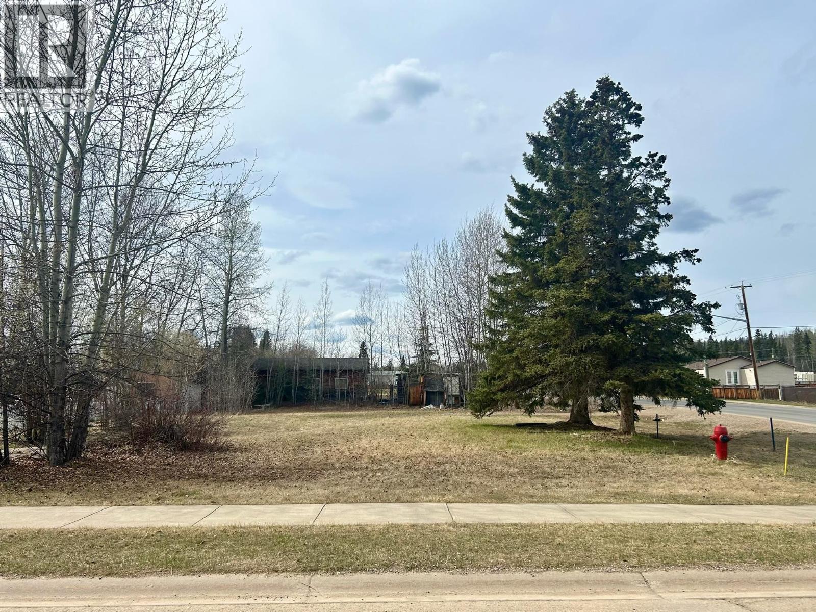 5331 42 Street, Fort Nelson, British Columbia  V0C 1R0 - Photo 3 - R3017377