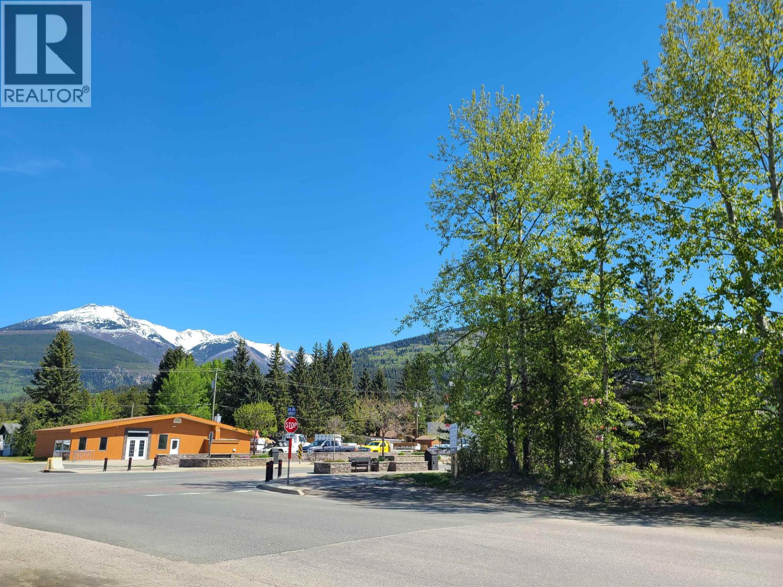 1285 5th Avenue, Valemount, British Columbia  V0E 2Z0 - Photo 5 - C8078500