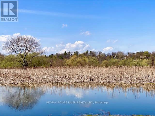 300 Taylor Road, Toronto, Ontario  M1C 2R6 - Photo 46 - E12727342