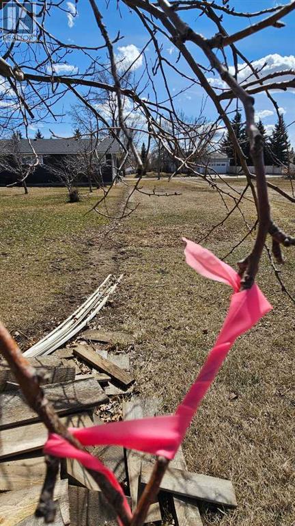 4946 Parkview Crescent, Castor, Alberta  T0C 0X0 - Photo 10 - A2307909