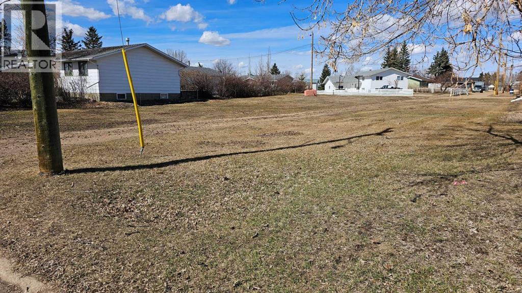 4946 Parkview Crescent, Castor, Alberta  T0C 0X0 - Photo 13 - A2307909