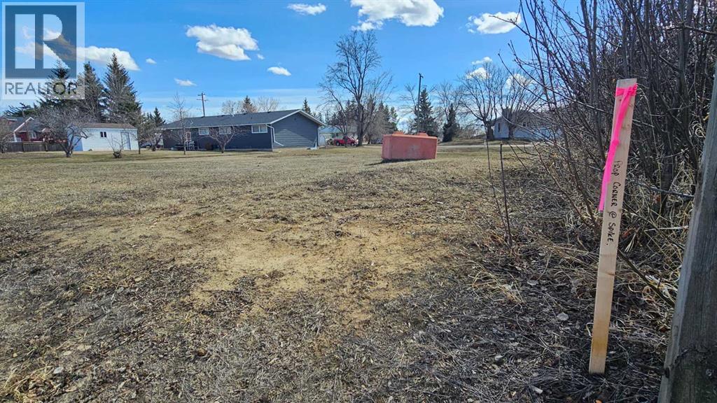 4946 Parkview Crescent, Castor, Alberta  T0C 0X0 - Photo 8 - A2307909