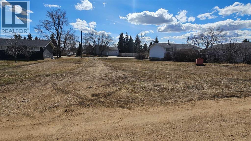 4946 Parkview Crescent, Castor, Alberta  T0C 0X0 - Photo 9 - A2307909