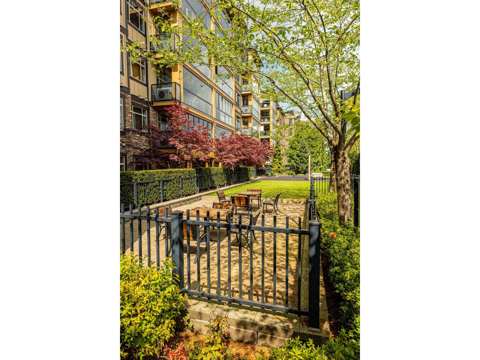 216 8067 207 Street, Langley, British Columbia  V2Y 0N9 - Photo 3 - R3116887