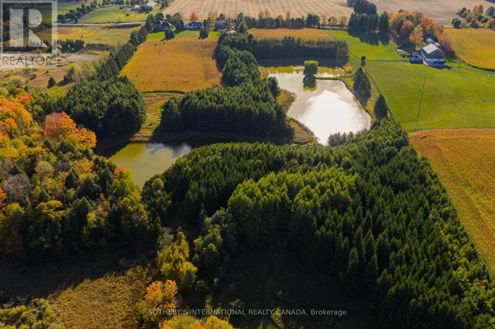 18101 Shaws Creek Road, Caledon, Ontario  L7K 0E8 - Photo 46 - W13080960