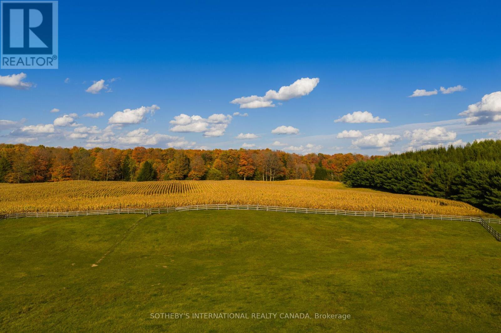 18101 Shaws Creek Road, Caledon, Ontario  L7K 0E8 - Photo 43 - W13080960