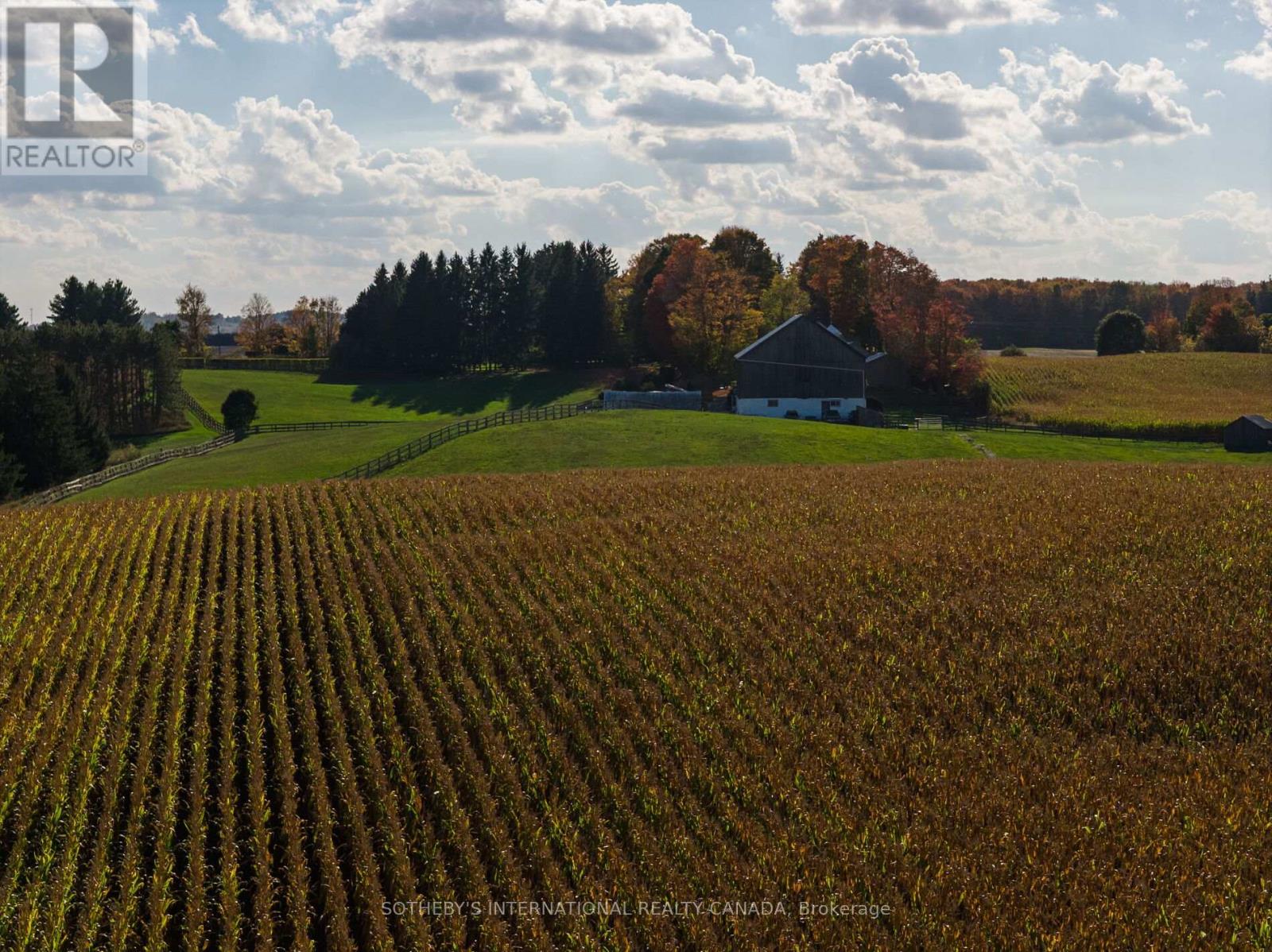 18101 Shaws Creek Road, Caledon, Ontario  L7K 0E8 - Photo 44 - W13080960