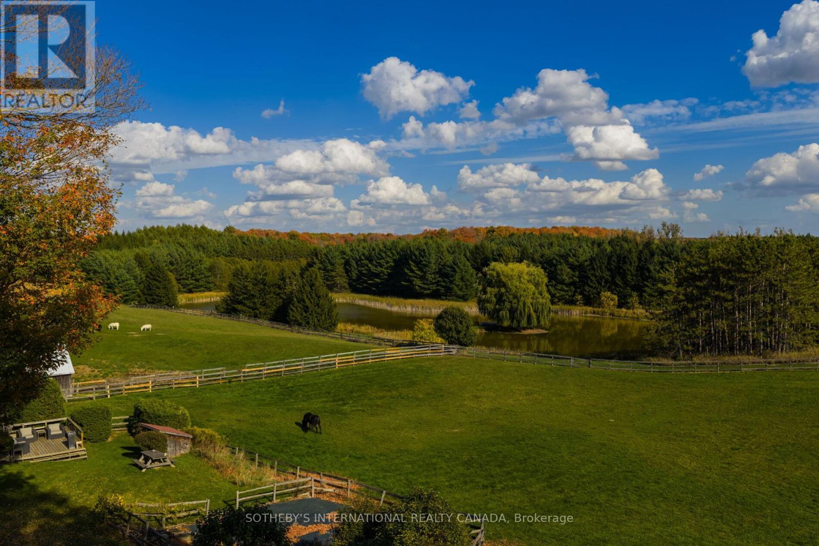 18101 Shaws Creek Road, Caledon, Ontario  L7K 0E8 - Photo 45 - W13080960